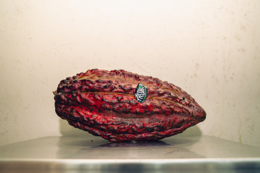 Cacao