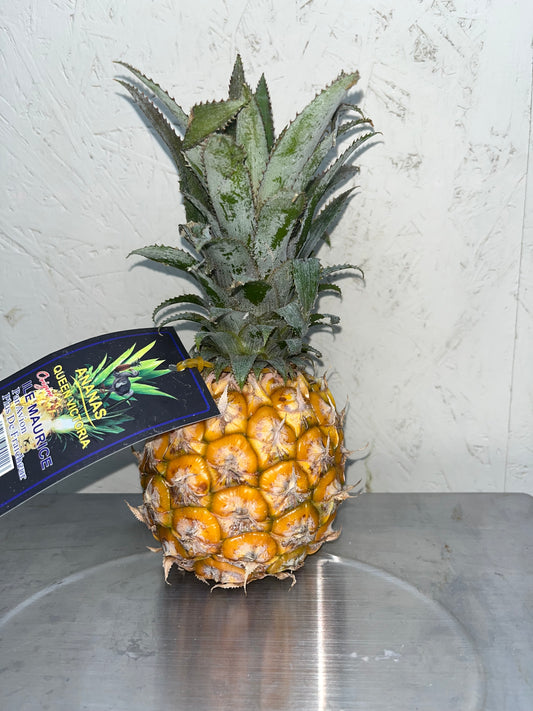 Baby Pineapple